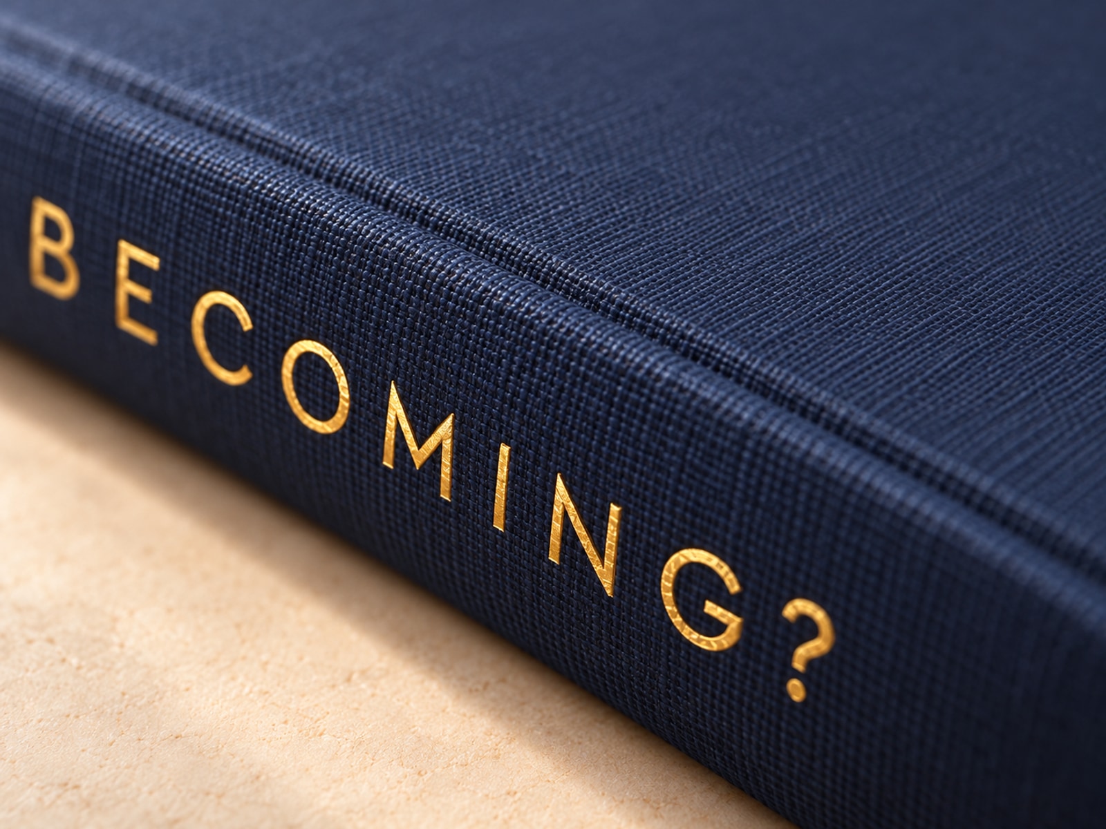 Close-up illustration of gold title lettering on the navy spine.